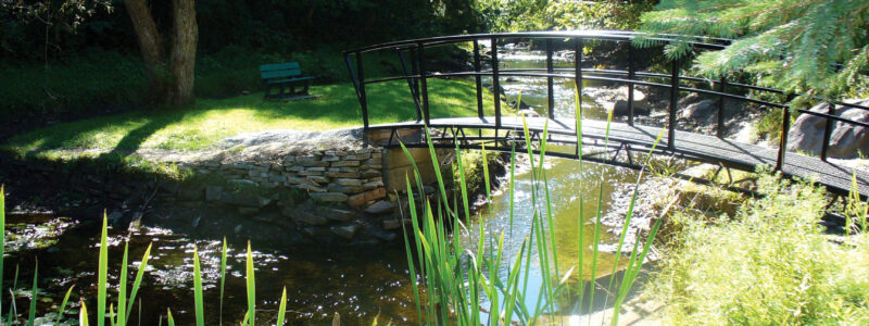pont-parc-du-vieux-moulin